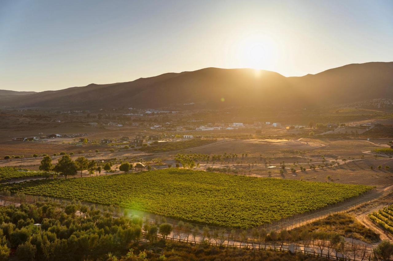 Banyan Tree Veya, Valle De Guadalupe - A Wellbeing & Wine Resort Exterior photo